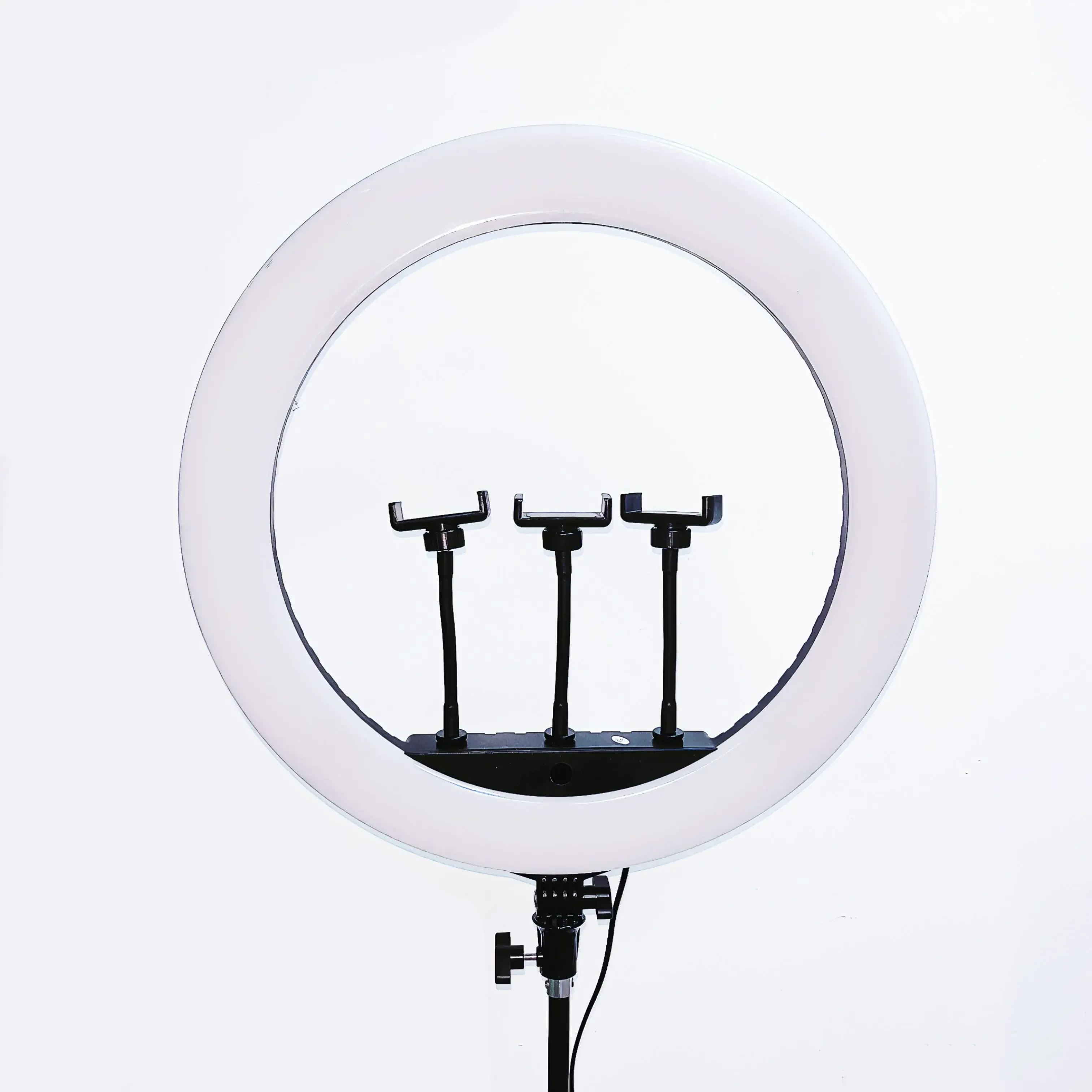 HQ-21n 21 Zoll LED-Ringlicht F – Lighting In Photography Bewertung und Preis